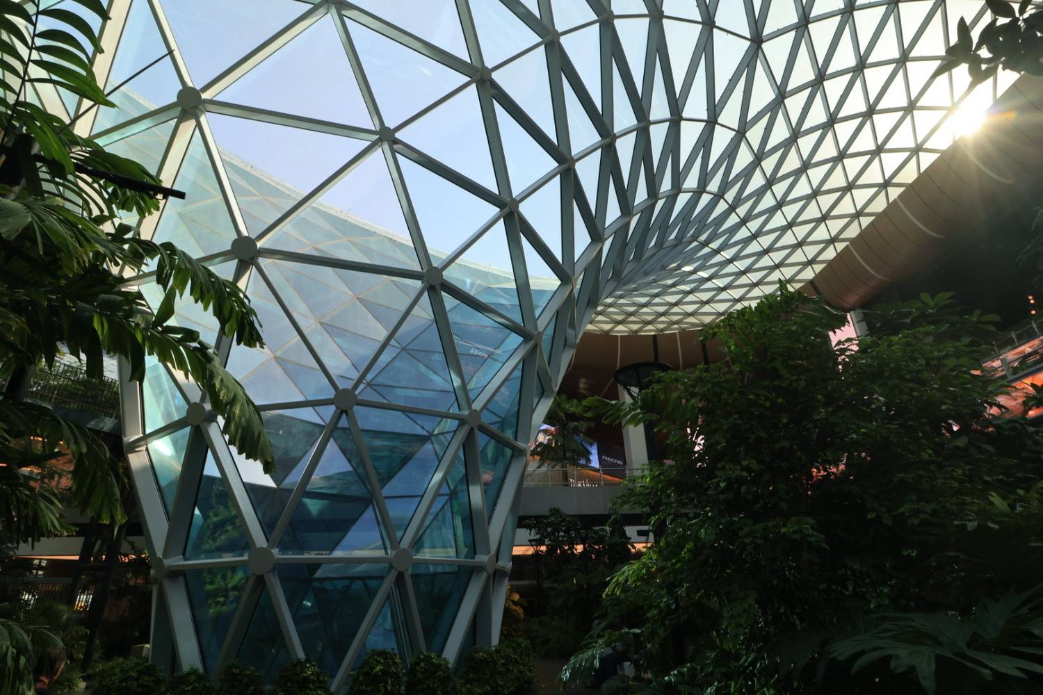 A Botanical Touch Green within Glass A Botanical Touch Green within Glass