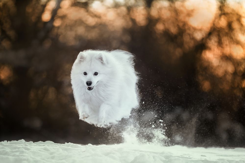 Photograph by Андрей Ершов
