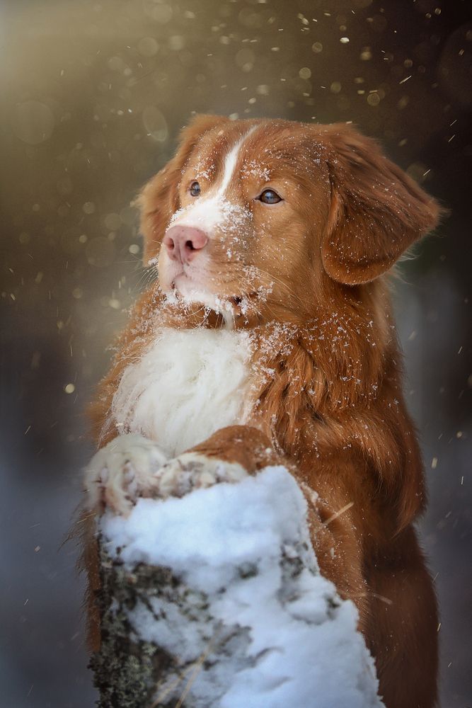Photograph by Андрей Ершов