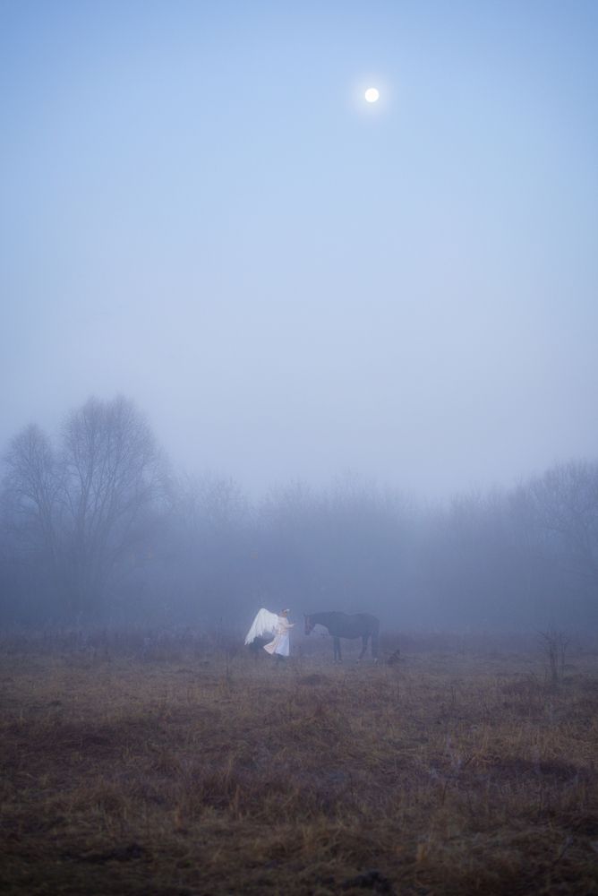 Photo #13358011