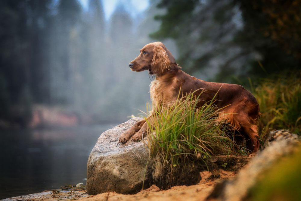 Photograph by Андрей Ершов