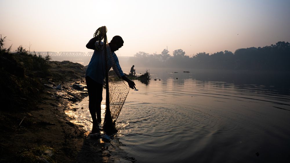 Photograph by Anuj Medhavi