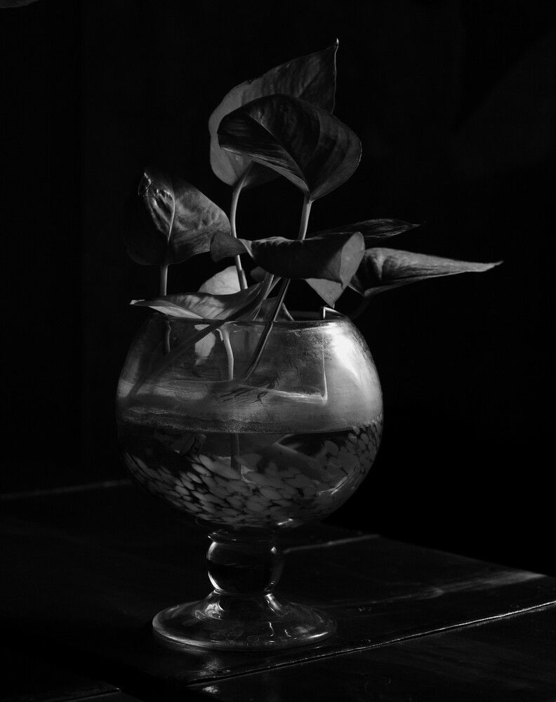 Photograph by G GOVIL