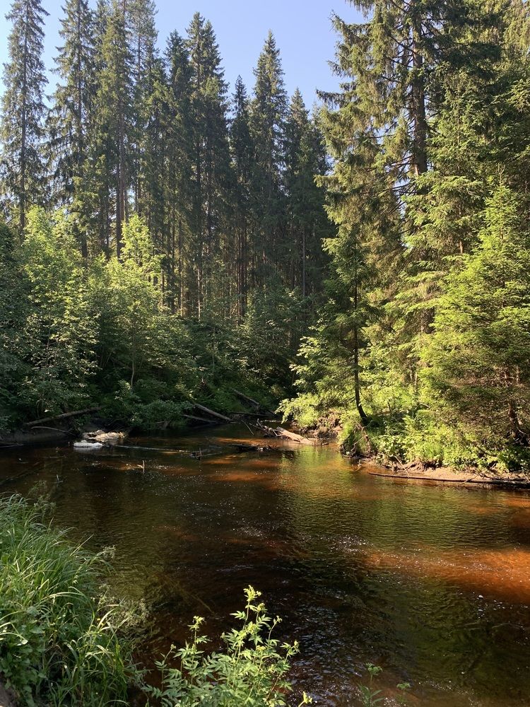 Photograph by Ирина Шпаковская