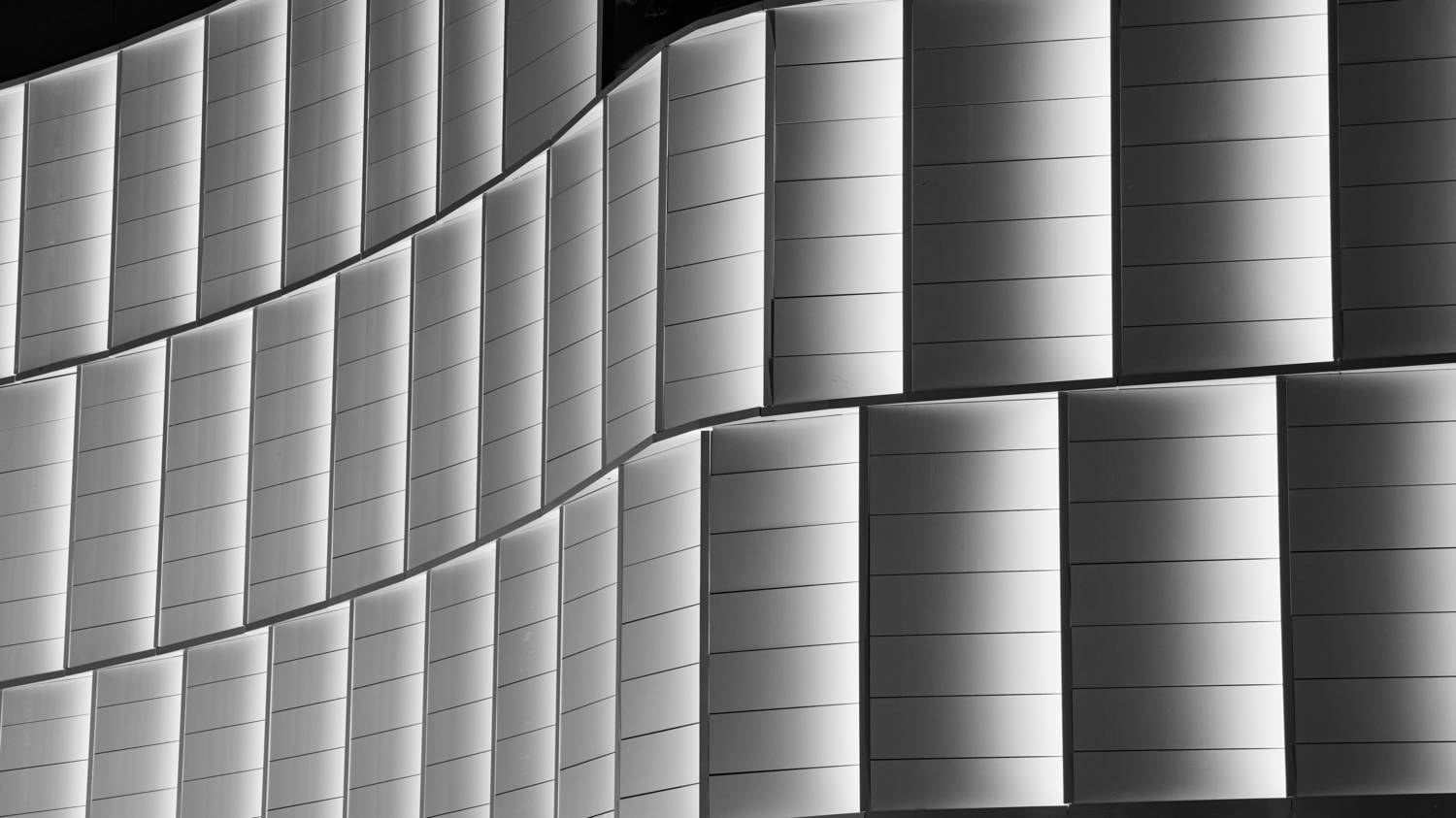 Фотография #13358199