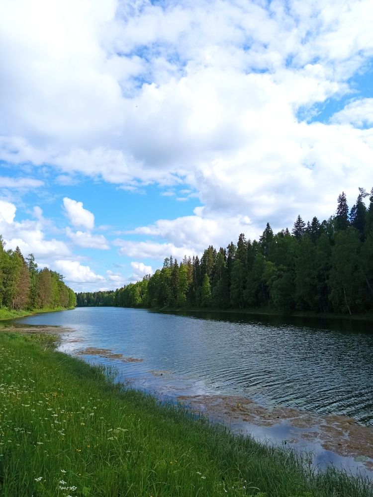 Photograph by Евгения Сапон