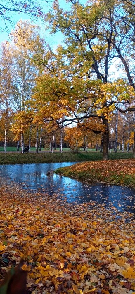 Photograph by Евгения Сапон