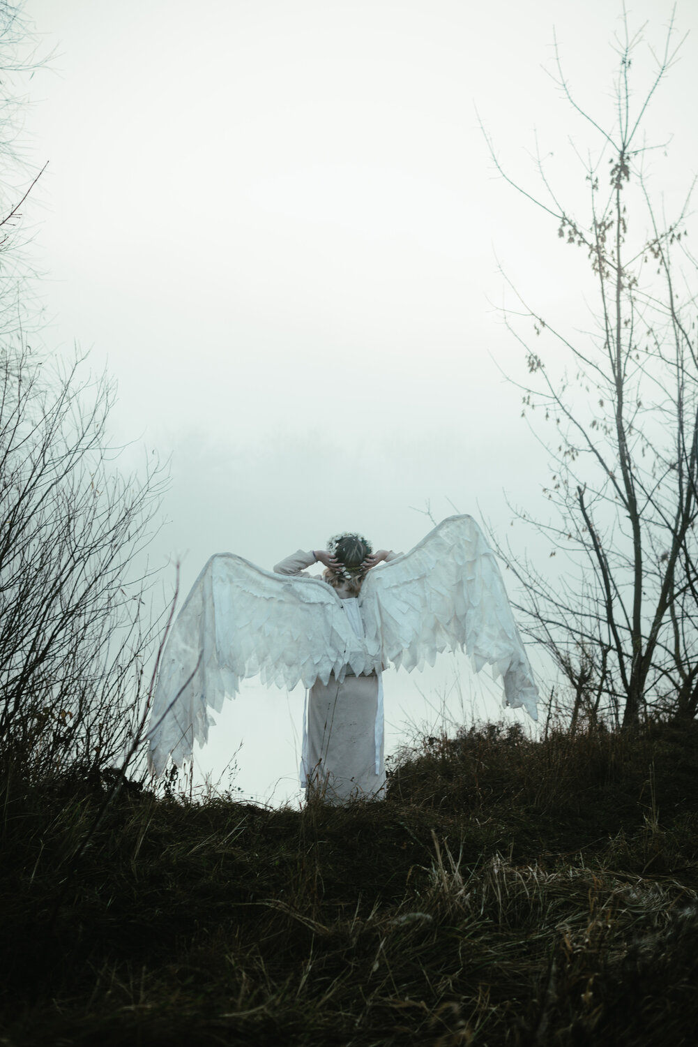 Photo #13358225