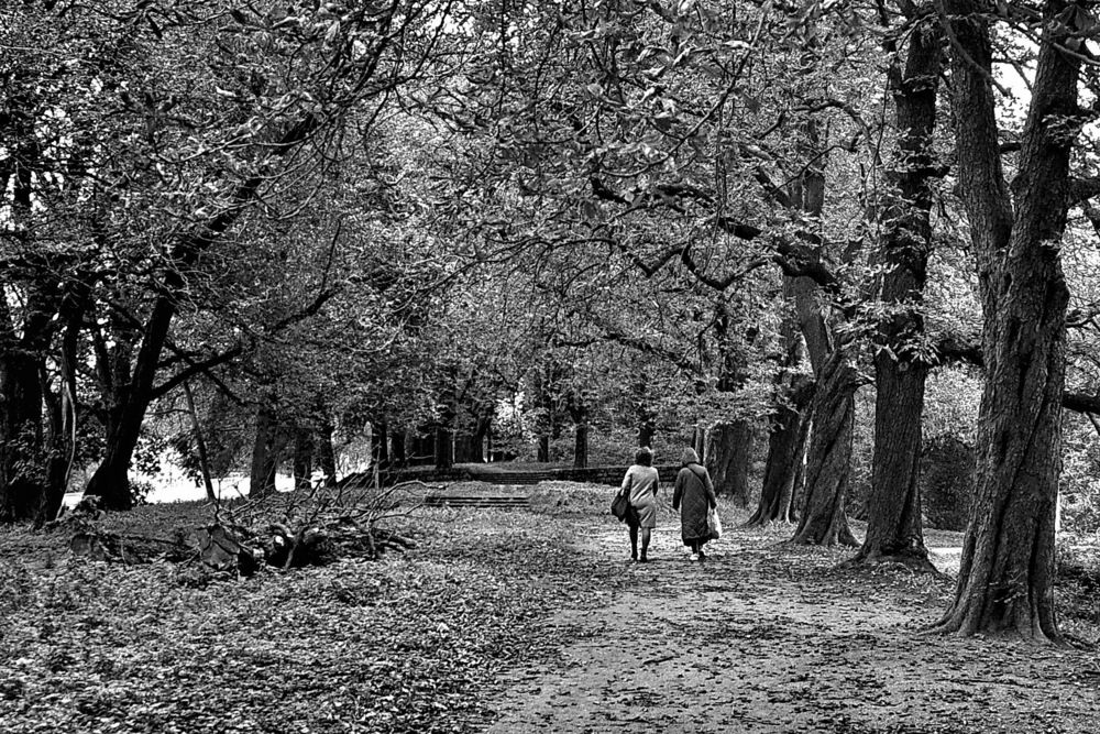 Photograph by Ирина Кухарчук