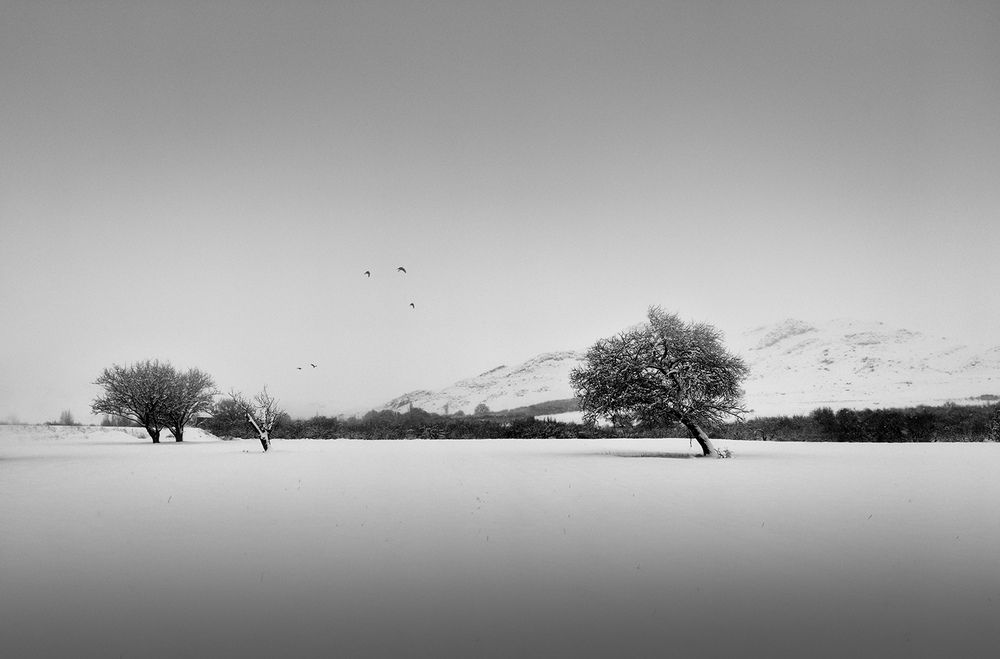 Фотография автора Farzad Ajori
