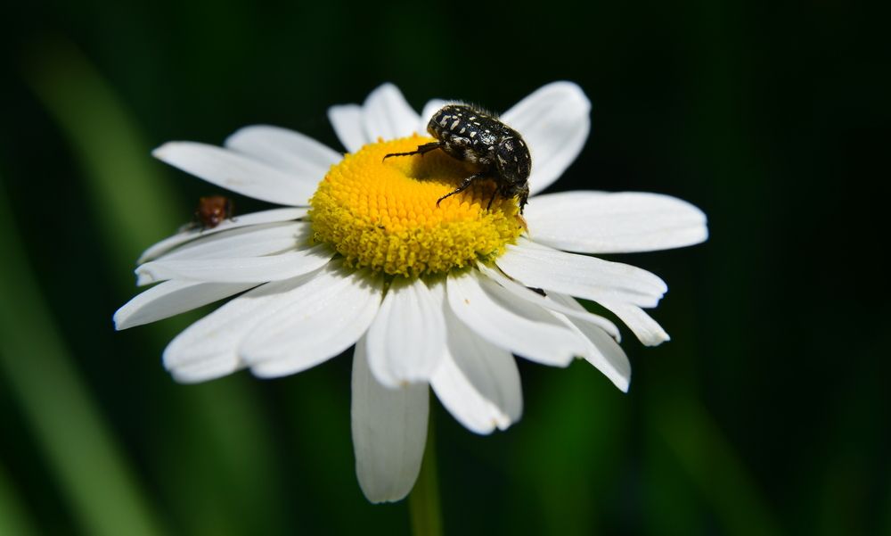 Photograph by Андрей Чуйков