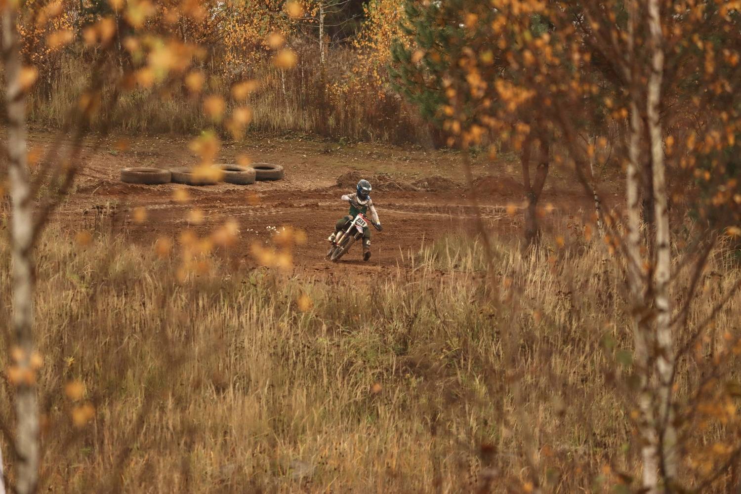 Фотография #13358278