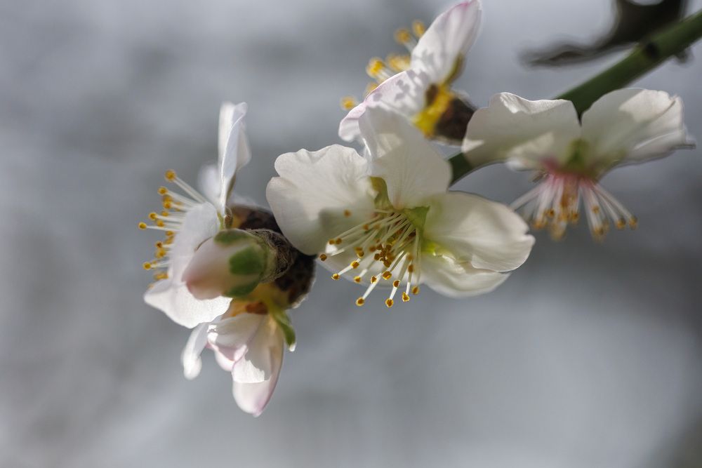 Весна идёт....