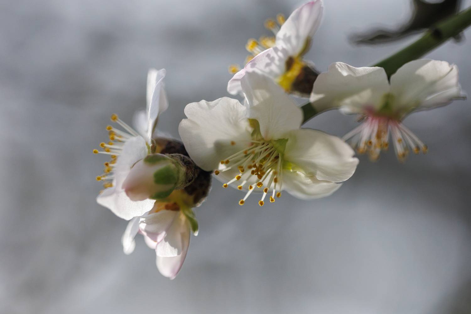 Весна идёт....