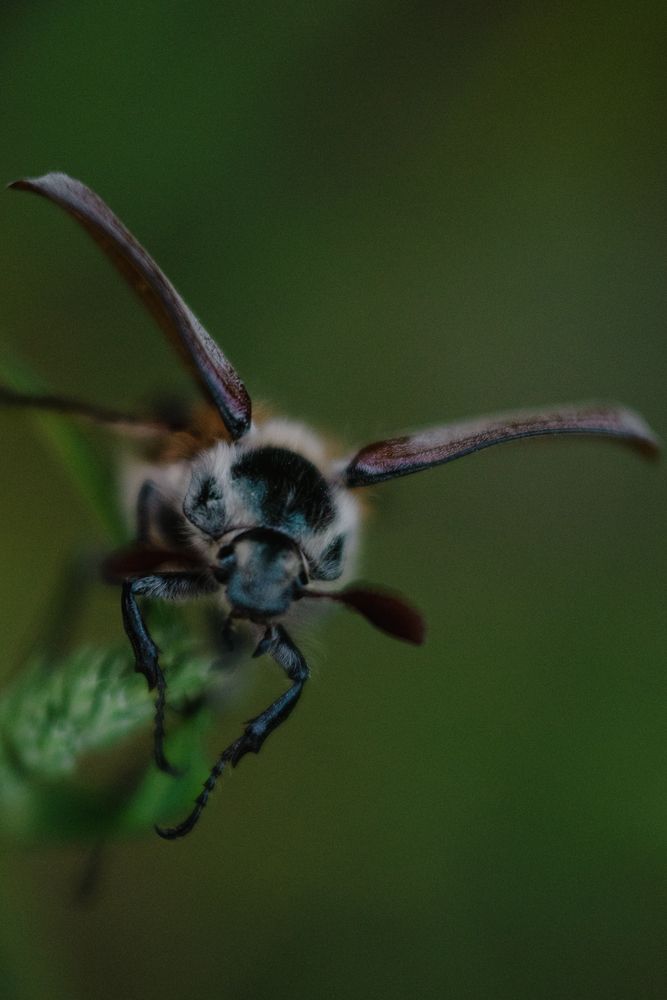 Photograph by Королева Екатерина