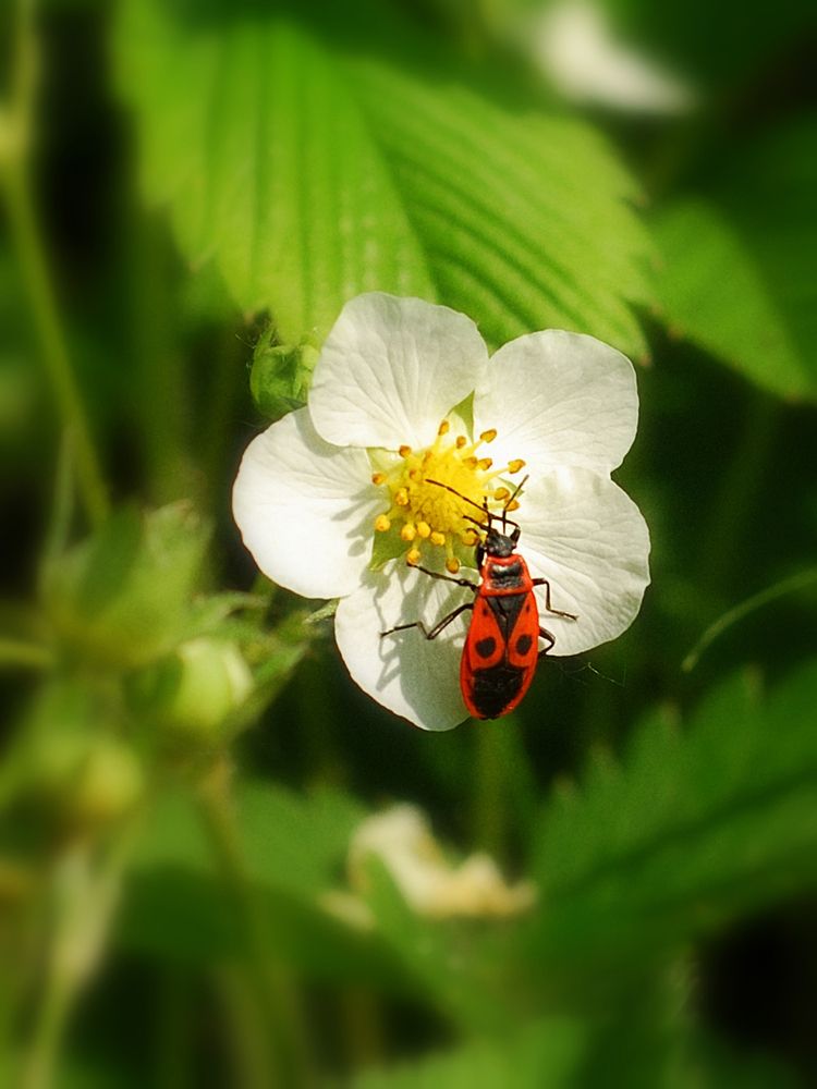 Photograph by Андрей Чуйков