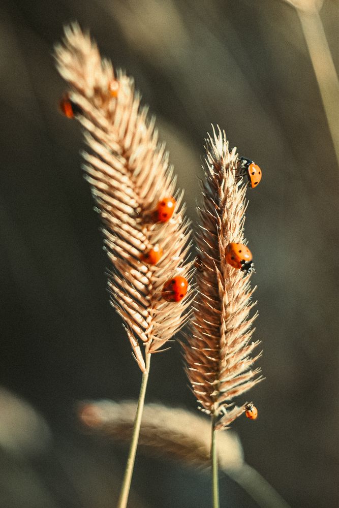 Photograph by Королева Екатерина