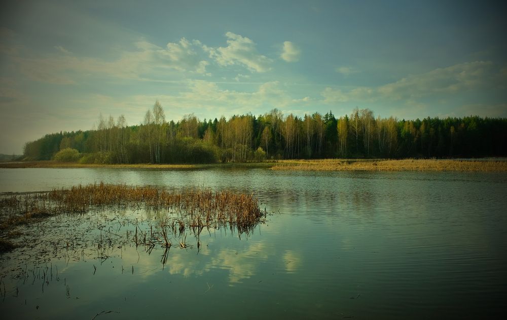 Апрельские краски