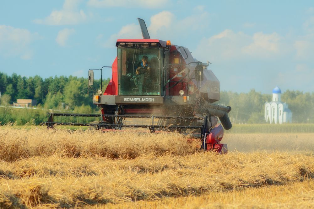 Photograph by Сергей Дишук