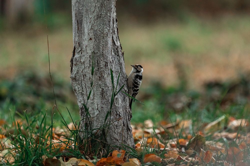 Photograph by Николай Кулагин