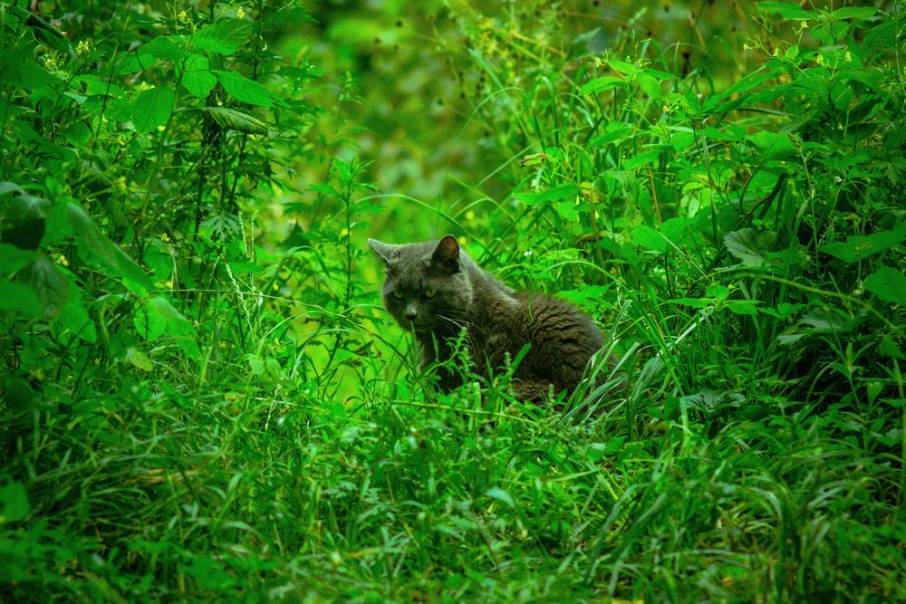 Photograph by Космочюс Евгений