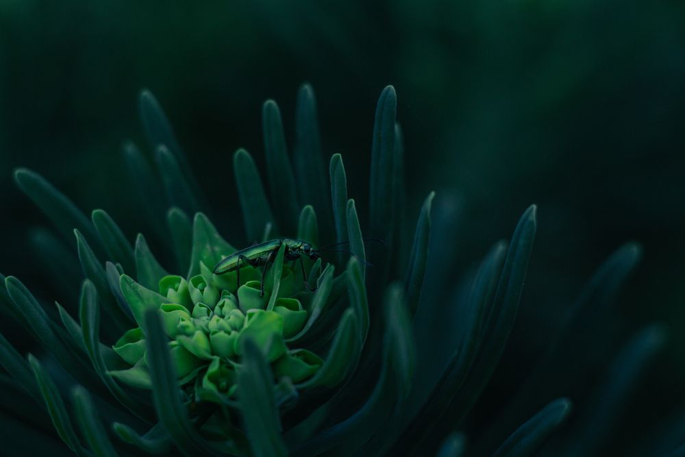 Photograph by Елена