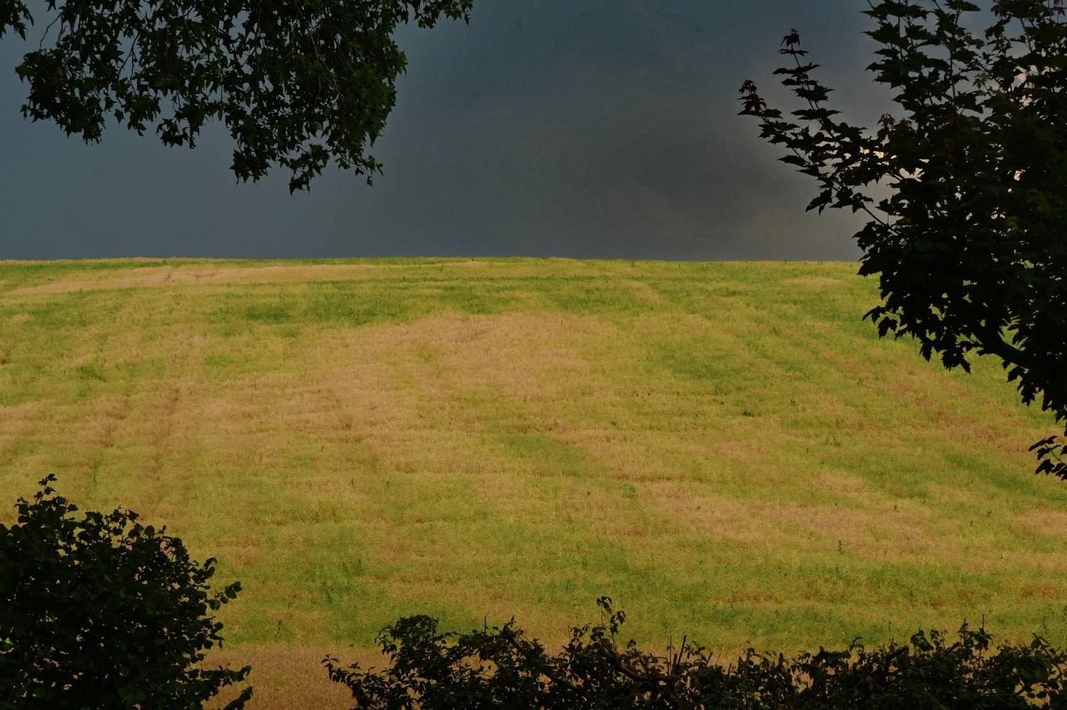 Фотография #13358499