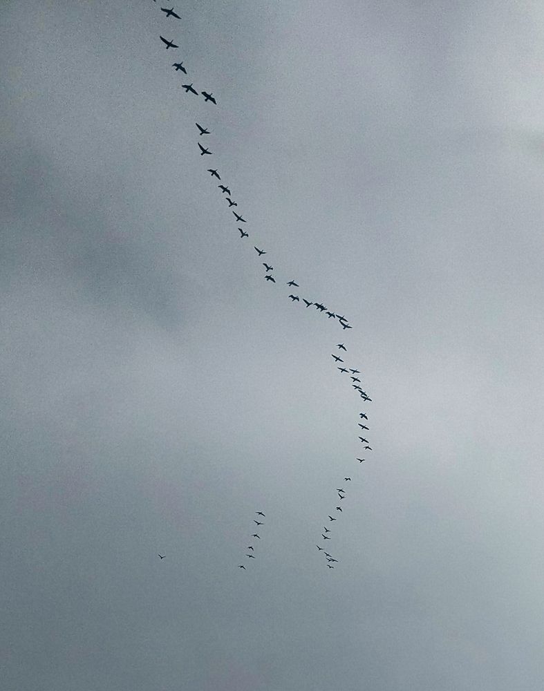 Photograph by Sara Attia