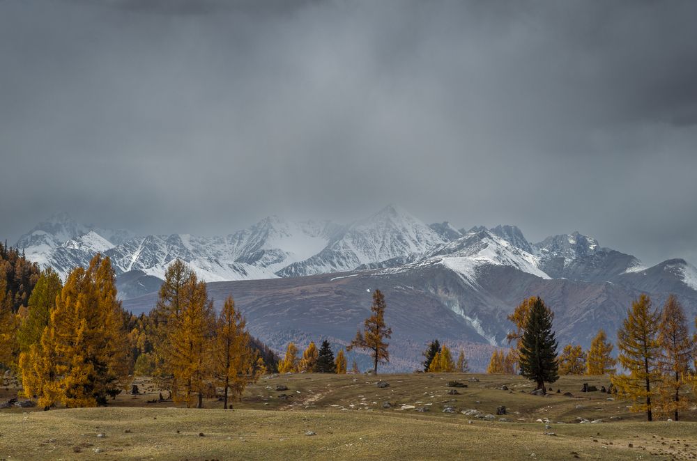 Photograph by Mark Devender