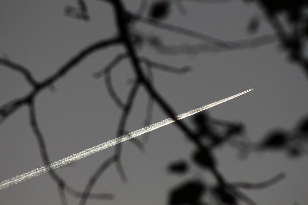 Photograph by Владимир Малёшин