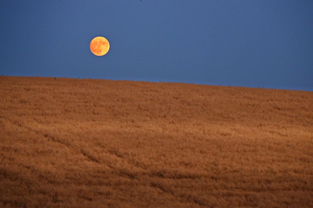Photograph by Anne Moginier