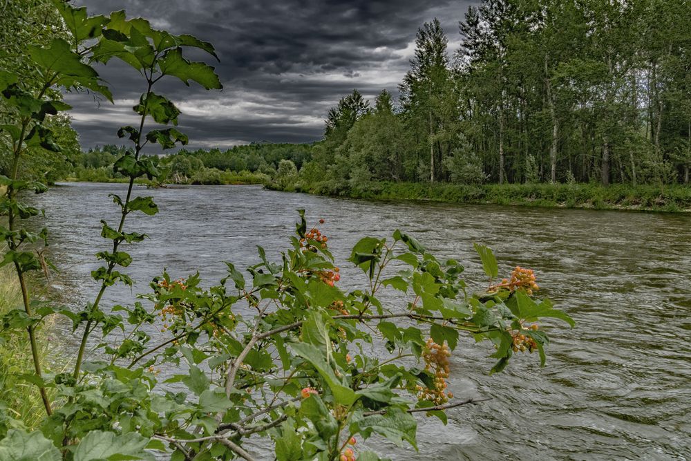 Фотография автора Андрей Жданов