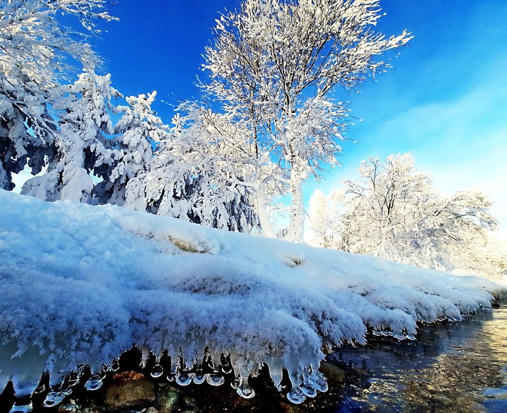 Photograph by Александр Лазебник