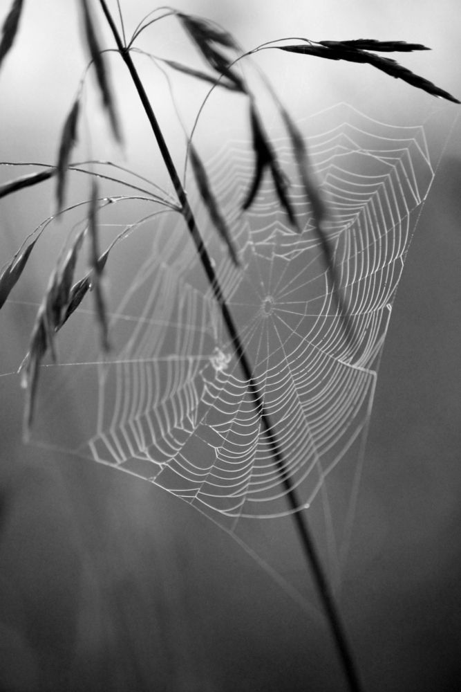 Photograph by Полина Зайцева