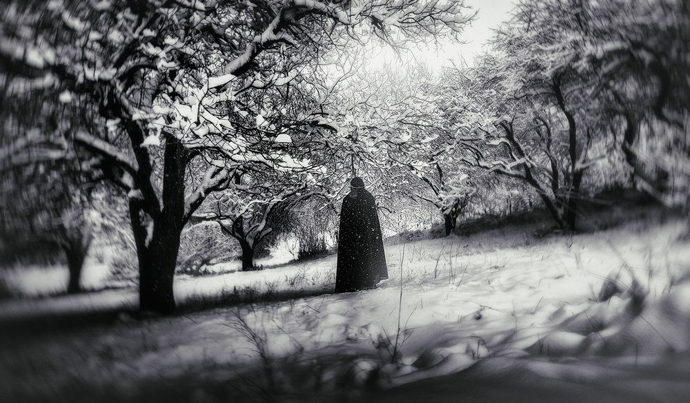 Фотография автора Farzad Ajori