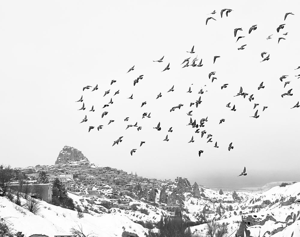 Photograph by MOJDEH NOROUZI