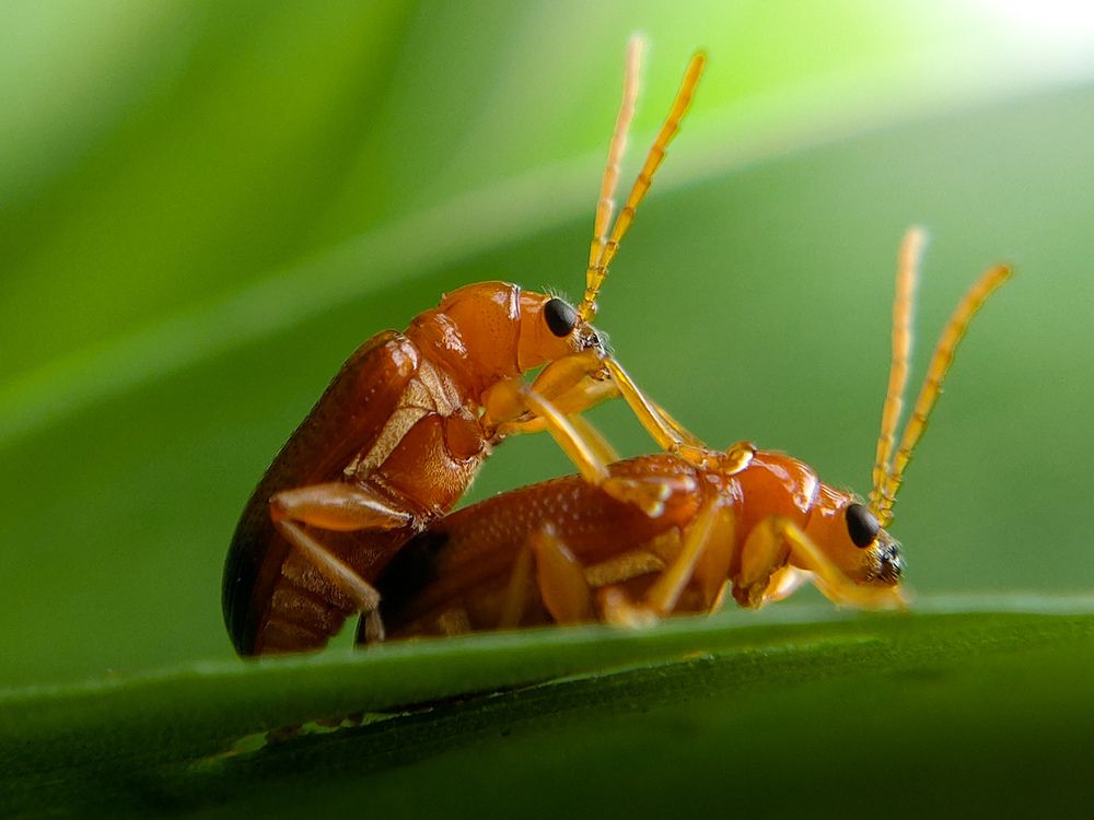 Photograph by Mahmud Hasan