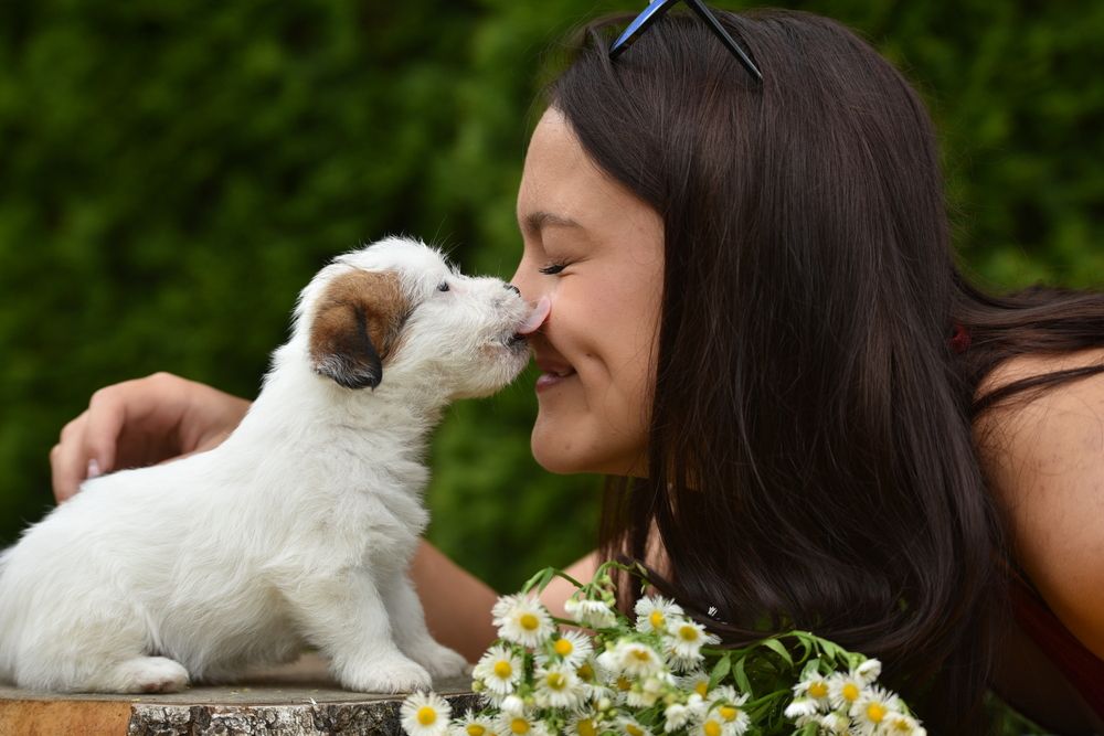 Фотография автора Ramona