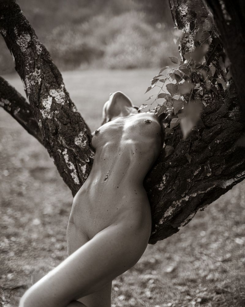 Photograph by Anton Montbrillant