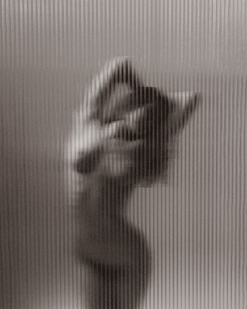 Photograph by Anton Montbrillant