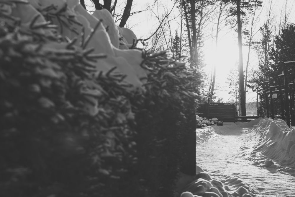 Photograph by Никита Зубов