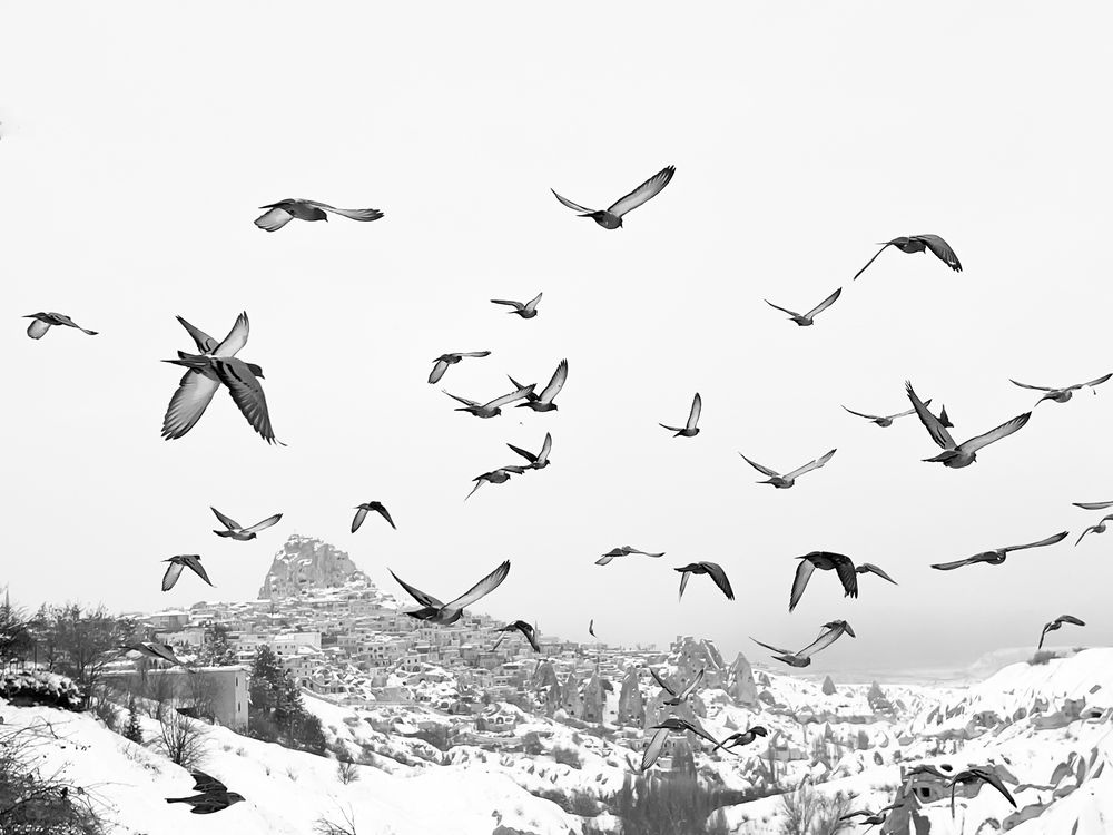 Photograph by MOJDEH NOROUZI