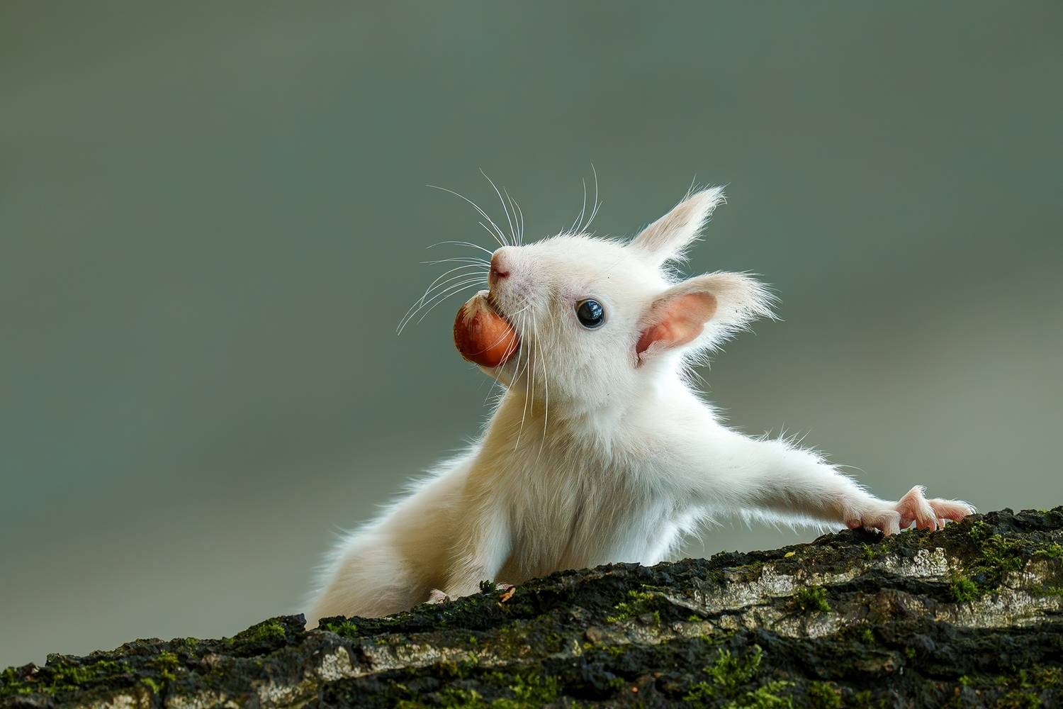 Вы меня звали? Я пришла!