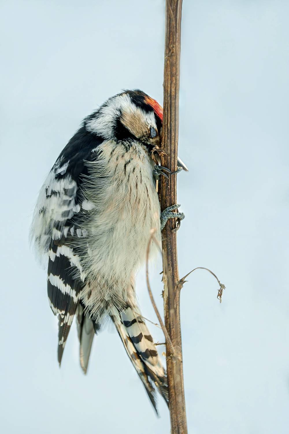 Задолбался
