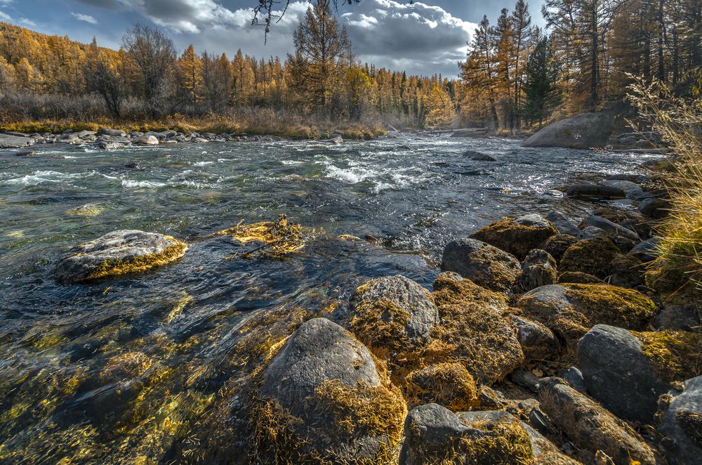 Photograph by Mark Devender