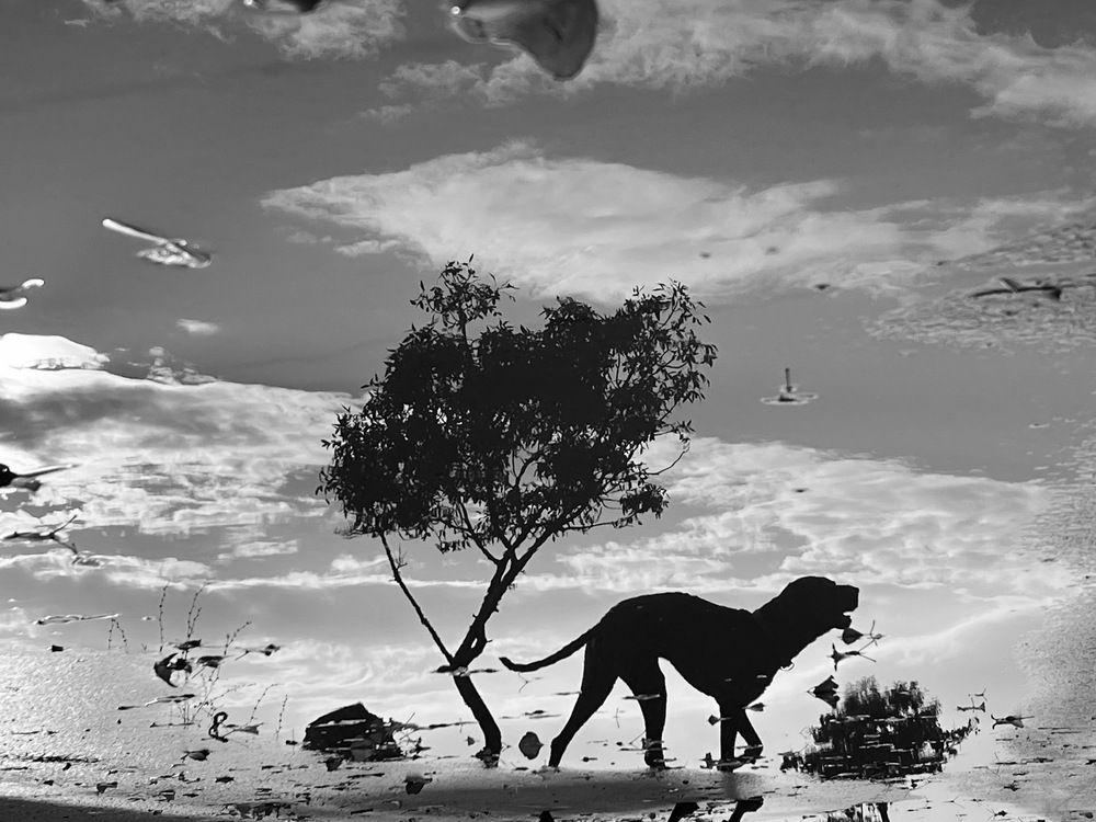 Catch me if you can!