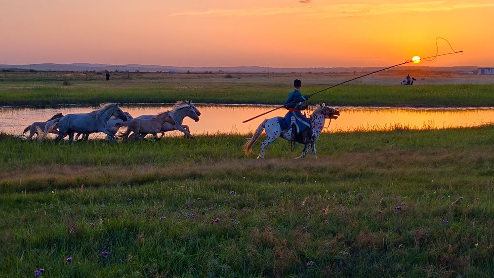 Фотография автора Michal Nega