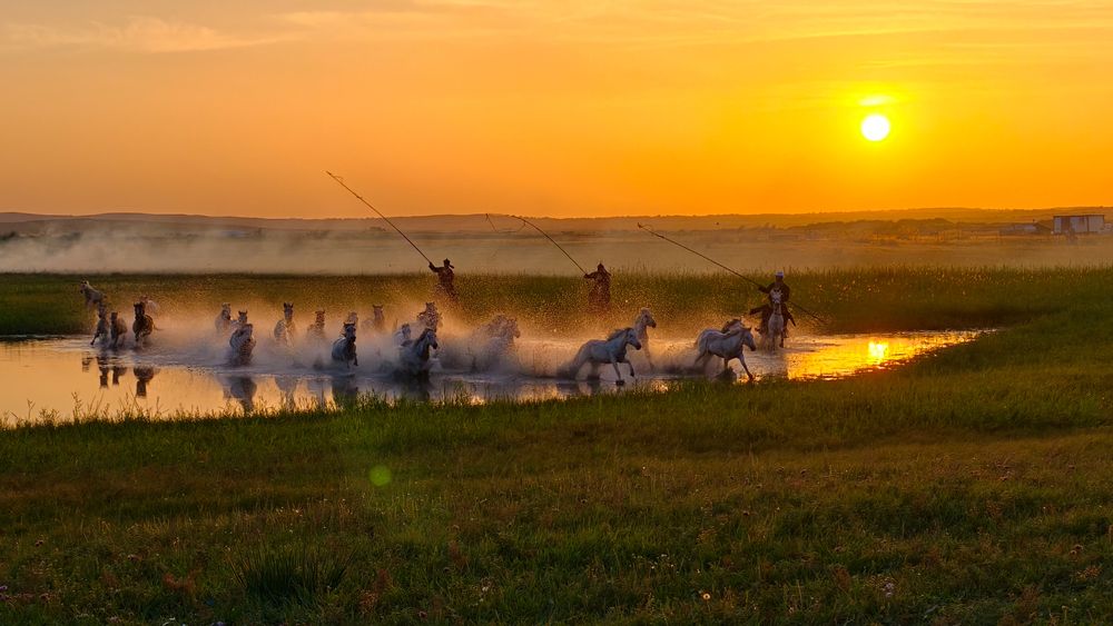 Photograph by Michal Nega