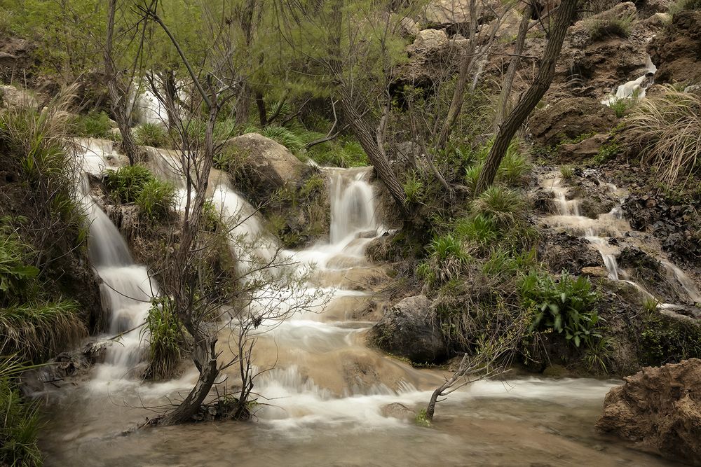 Фотография автора SABA Etehad Ketabchi