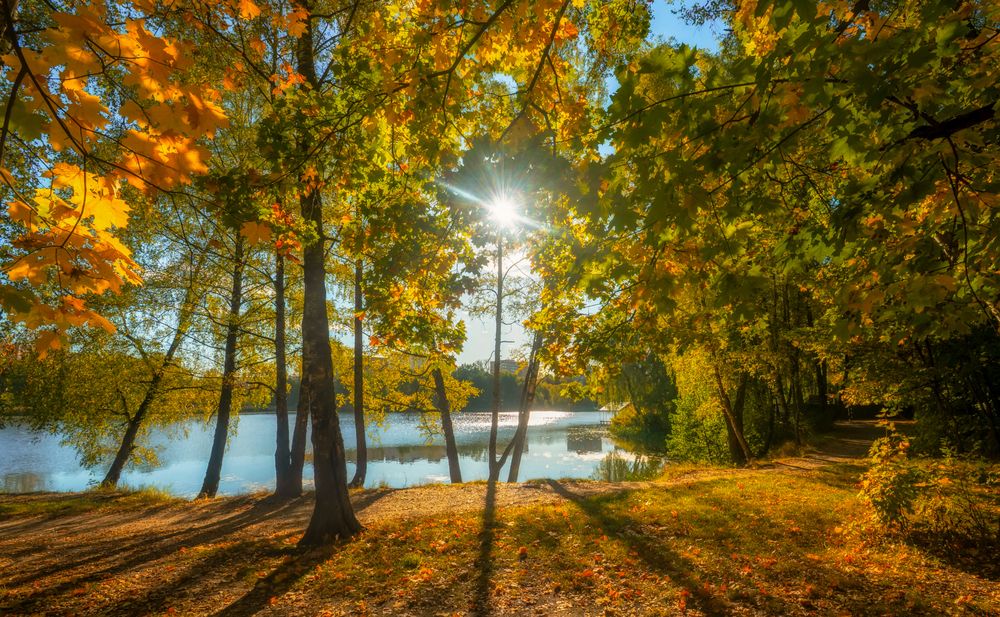 Фотография автора Олег Пученков